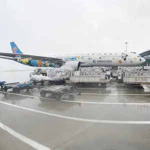 义乌机场航班带货 义乌机场货运出港、义乌机场至鄂尔多斯机场空运