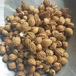 ��ɰ�ʴ�ɰ�� ��ҩ�����������ζ����������±�����ֻ�