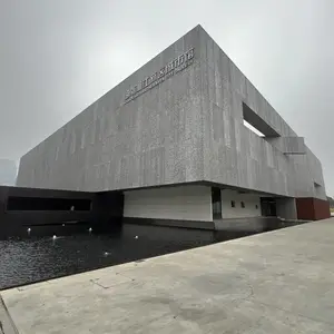 加拿大Alusion大孔泡沫铝幕墙--长沙湘江新区城市馆