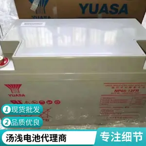 汤浅蓄电池(YUASA)NP110-12 12V110AH直流屏ups太阳能储能