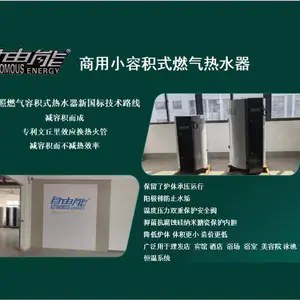 容积式燃气热水锅炉 大功率天然气热水炉 民宿别墅储水式燃气热水器