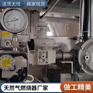 天然气燃烧器烧嘴燃烧系统燃气 天然气燃气加热烧嘴源头厂家岱鼎