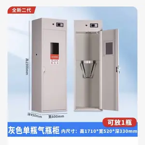 力盛CE认证 气瓶防爆柜厂家 智能通风声光报警 单瓶装钢瓶存储柜定制