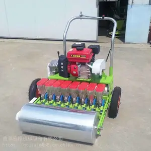 ��������߲˲��ֻ� ���������߲˾����� �����߲˲��ֻ�
