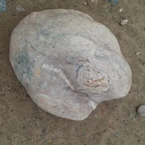 荣茂变压器鹅卵石规格齐全 人工湖底铺设天然鹅卵石厂家