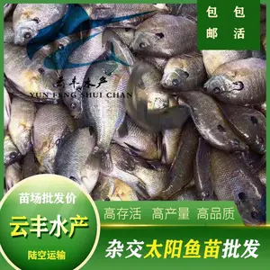 �����泡�޷����� ��ˮ̫������ �������۸�