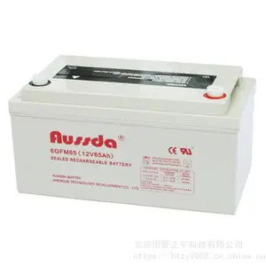 aussda����6GFM65��˹������12V65AH UPS/EPSӦ����Դ����
