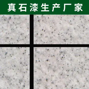 蓝翠鸟真石漆厂 供应惠州医院外墙建筑工程真石漆