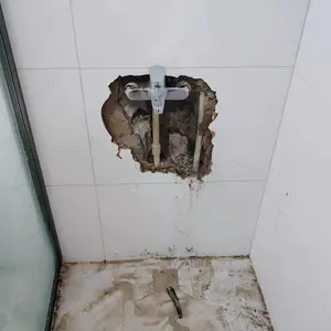 ���ڱ����ܵ�©ˮ̽�飬�����ˮ�ܱ��Ѽ��ά��