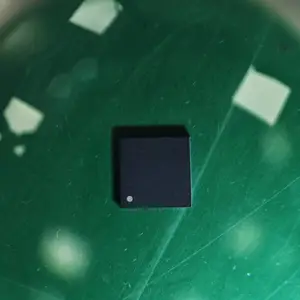 IC��ĥ-���� ����¼ оƬĥ˿ӡ�ص����