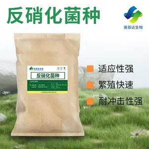 污水处理反硝化菌种