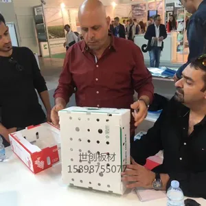 中空板葡萄包装箱