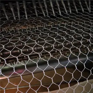 实体工厂生产 铁丝网 六角网 各种规格 可加工定做 5公分