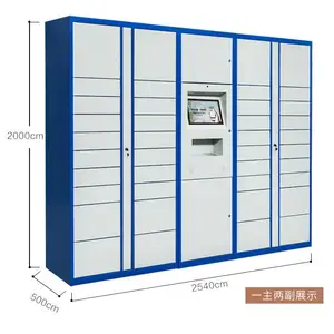 智能快递柜自提柜自助寄存柜定制系统政务投放柜小区快递柜