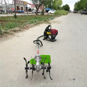 ������ĳ�̱���ʽ��԰���ݻ� ���ͳ��ݻ� �ַ��е