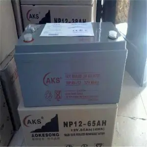 AKS�¿�������NP12-100�����ͺŲɹ��̷�������