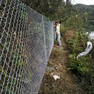 供应广东家禽养殖围网池塘鱼塘防护网勾花网护栏网厂家