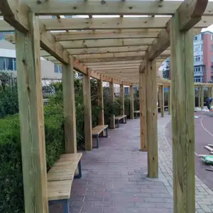 ʤ���ڴ� ����ľ���Ѽ����ʩ�� ̼��ľ���ټ�