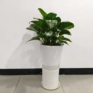 ��ֲ���� ������Ȧ�����ɹ� Ʒ�ַḻ�۸�ʵ�� Ʒ�ַḻ�۸�ʵ��
