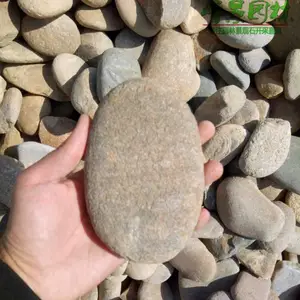 �Ƶ������Ƭ����ʯ ����԰����·ʯ �徰ֱ����������ʯ