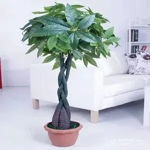 �����ٻ�_���滨����_ӣ����