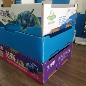 厂家设计定制款PP中空板材质中空板蓝莓包装盒