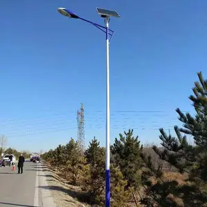 公园小区太阳能路灯 5米6米LED灯供应 农村道路照明灯