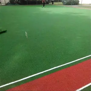 ���� ��������ƺ ���ɳ�����ƺ �����÷����Ƥ
