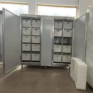 豆制品加工设备省时省力豆芽机 商用全自动高效率黄豆芽机器