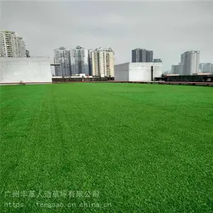 �����ƺ���ع���Χ����ɫ��Ƥ���컧�����ϼٲ�Ƥ��̺