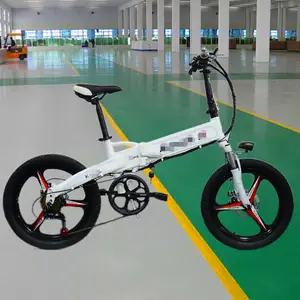 20�綨���۵��綯���г�36V48V﮵糵��Яʽ˫��ɲ��ƿ��·�������綯���г�����ֱ������