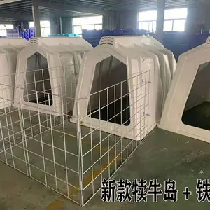 ��ţ�� ����һ����� ţ���� ţ���� ������꿹��� ����10��
