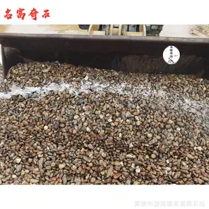 �㶫����ʯ֮�ң���԰�����̵ؽ���ʯ�ӣ��̻�����װ�ε�׺ʯ