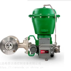 供应Fisher V500 偏心塞阀