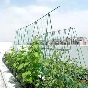 乡村农业种植基地瓜棚网 农业养殖爬藤网 耐老化聚乙烯网