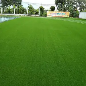 �����̻��ٲ�ƺ�ڸ�У԰�ٳ��˶���ͼ����ֲ��������ֲ�ٲ�Ƥ�ص�