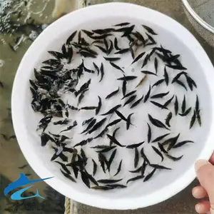 ��***��ˮ�������� ��������籨�� �Ʒ���������緱ֳ