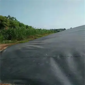 �ӱ�����Ĥ ����Ĥ������������