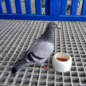 �����񻷱��������������ϴ������դ�� �����ָ�դ�ǰ�