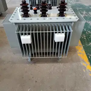 S11-100KVA/20��2*2.5/0.4 20KV�ͽ�ʽ��ѹ�� ��о ����