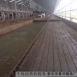 猪场牛场鸡场刮粪机用链条 清粪机圆环链 链轮 型号