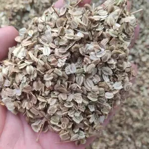 ������ֲ���������������������⼸�����