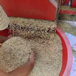����絾�������� �๦�ܹ�������� ��������С��������