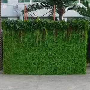 ������ֲ���� �ֻ������ֹ��� ����Ծ��