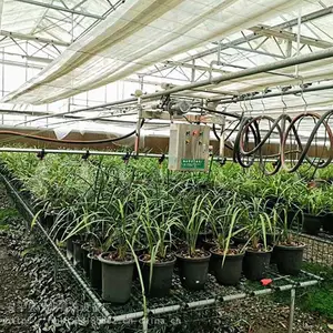 定西移动喷灌机限位调节汉明育苗水车生产厂