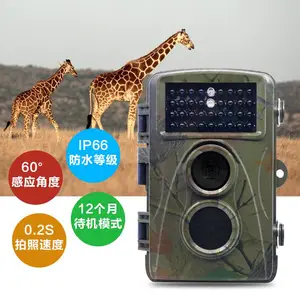 森林野外牧场果园移动侦测户外防水夜视科研12MP高清红外打猎相机