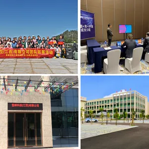 登峰科技（江西）有限公司