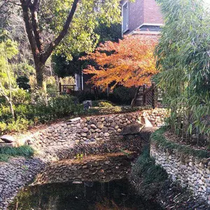 南京园林景观石哪家好「多图」