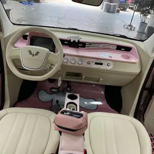 ���Զ��ƣ������Ųʣ�����mini���η��¸�װ