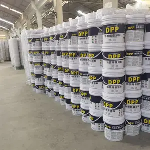 DPP����Ϳ��